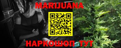стафф Новозыбков