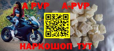 стафф Новозыбков