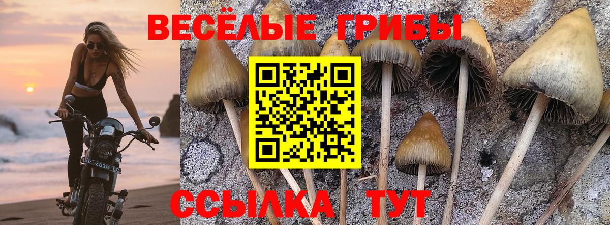 Галлюциногенные грибы Psilocybine cubensis  как найти наркотики  Сергиев Посад  Вход с VPN 